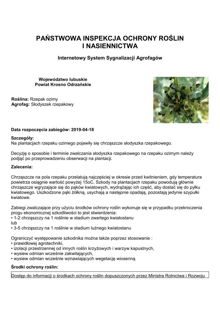 Skan ogłoszenia urzędu