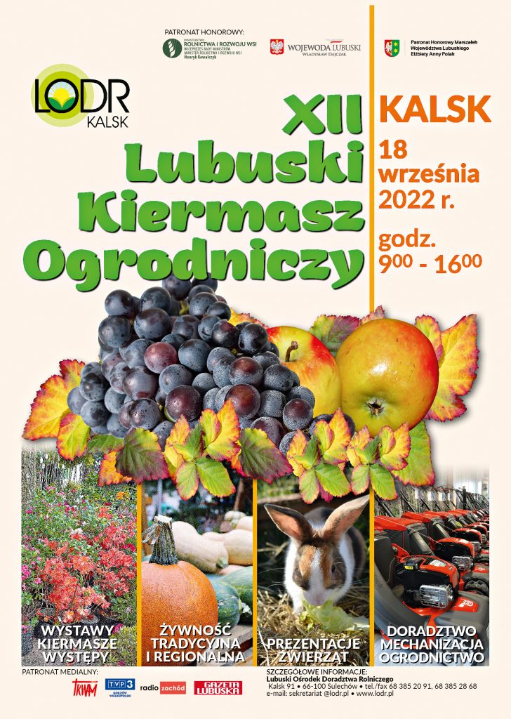 Skan ogłoszenia urzędu