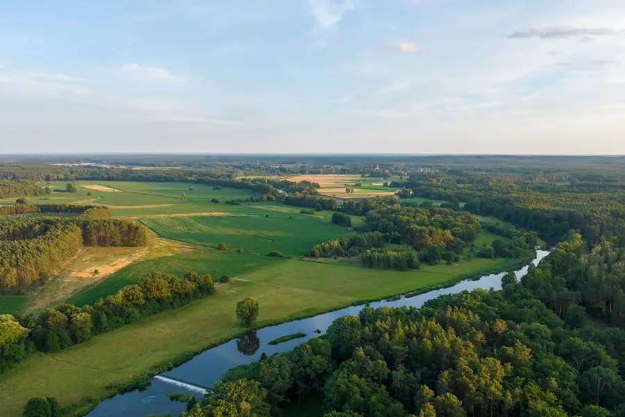 Zakole rzeki Bóbr wśród łąk i lasów, widok z lotu ptaka