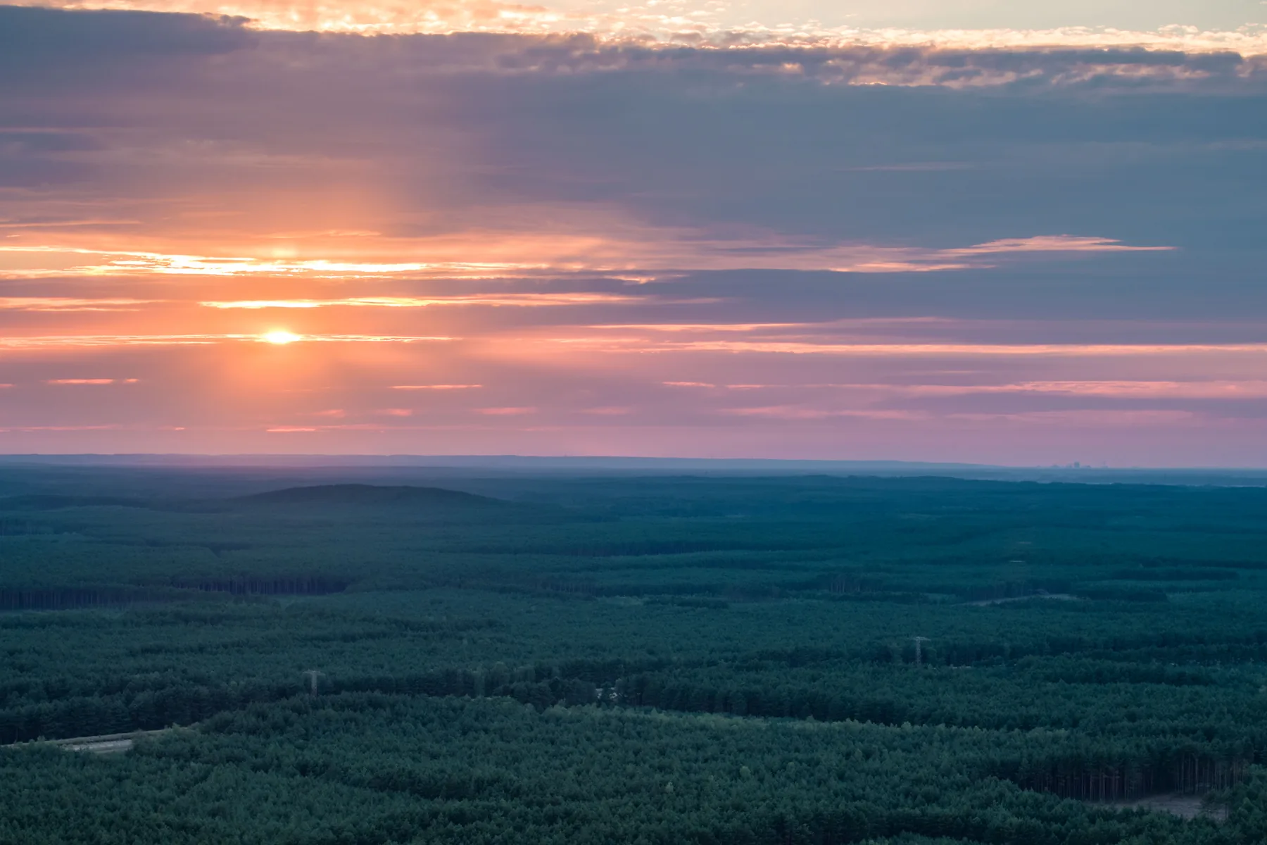 Zwarty kompleks leśny sięgający horyzontu, słońce nisko nad koronami drzew